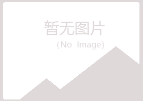 嵩县冰枫律师有限公司